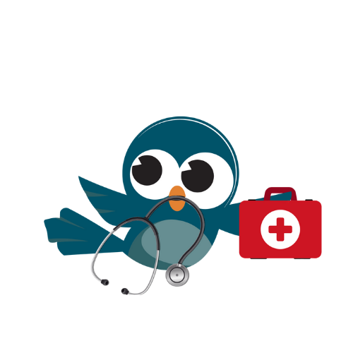 Click here to Pay Online